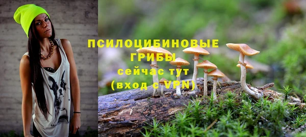 ешки Абдулино
