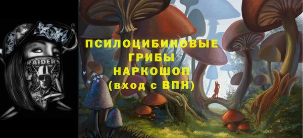 ешки Абдулино